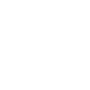 Scale icon